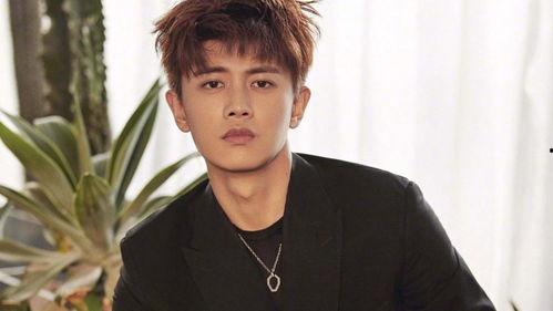 任嘉伦最新爆料的综艺,笑料百出，实力圈粉